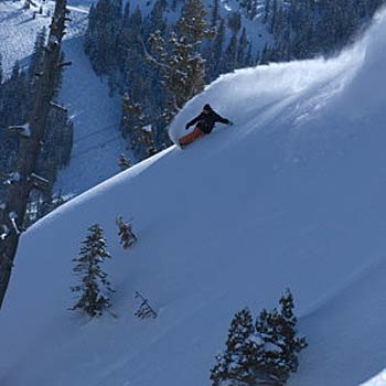 Squaw Valley USA, CA None