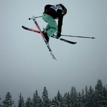 High Flying Bouvier None