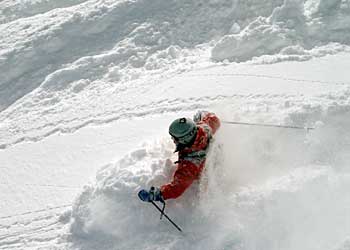 GROWN Skis When half of a ski company's mission statement is dedicated to eco-efficiency, they better deliver. And up-and-coming Grown does. From the limited…