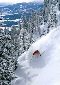 LIBERTY Jinx 164 115/85/110 $580 All Liberty skis feature a laminated, environmentally-friendly bamboo core. For most of their skis, you can take it one step further…