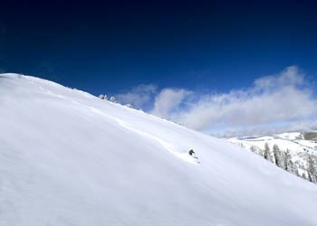 Maximizing Your Heli Dollar at NCHS Rider: Andy Winn After taking advantage of the Silver Star Special and crushing four runs at a frenetic pace with two other groups in little…