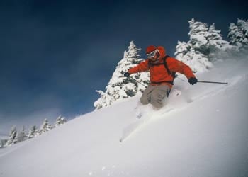 Pricing and Reservations Rider: Andy Winn Exclusive Use ($4000 per flight hour, 1.5-, 2.5-, 3.0-hour minimums for one, two, or three loads) As much skiing as the group…