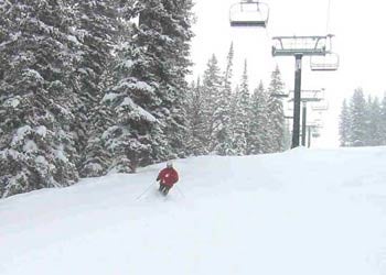 The Terrain The terrain options at NCHS range from mellow enough for advanced intermediates to psychotically technical steeps, with plenty in between. Our…