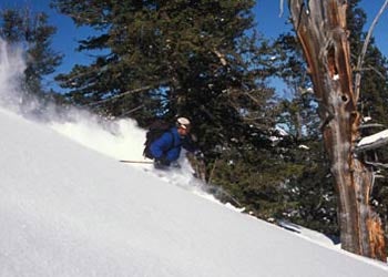 Silver Mountain Resort, Idaho Also at Silver Mountain is downhill mountain biking. The trails offer huge descents of 3500 vertical feet to the valley floor below. Rental…