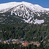 Ski Essentials 1102 Pic A None