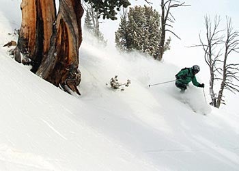 Ogden, UT: Best Place to Live? Ogden, UT was recently featured by Outside magazine as America’s 3rd Best Adventure town for 2008 and by National Geographic Adventure as one of the…