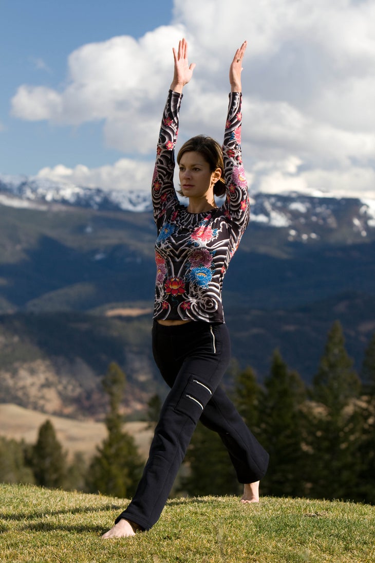 Yoga Lunges: Position 2 None