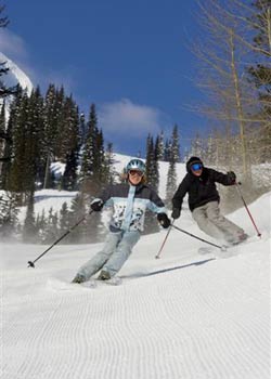 #4: Patrolmen's Chute at Kirkwood, CA extreme with the amount of usage a given run will get. If anyone and everyone can ski it, it's probably a green. If it is only skied once or twice a…