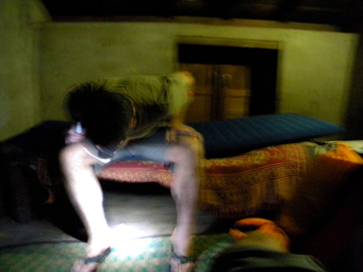 Bed Bugs Kris Erickson under vicious attack from bed bugs (which looked and bit like a combination of termites, fleas, and ticks) on our way to the mountains.…