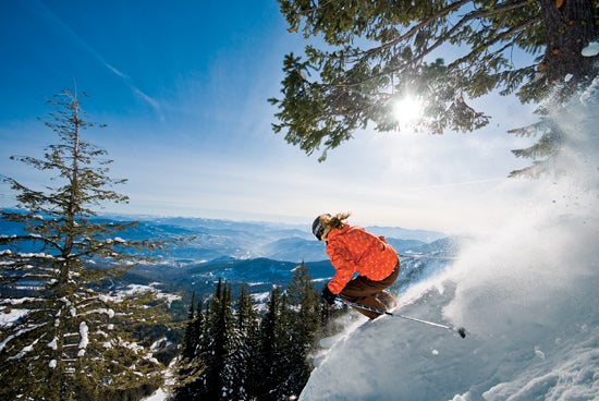 Timber! Red Mountain’s legendary treeskiing is alive and well—and not to be missed—in the Pale Face Chutes, where severe vertical meets subalpine glades. Red Mountain's legendary tree skiing is alive and well—and not to be missed—in the Pale Face Chutes, where severe vertical meets subalpine glades.