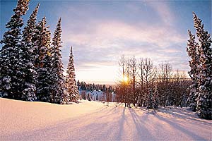 #6 Buy Proper Powder Skis None