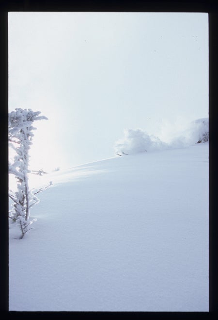 Martin Unterberger at Zwiesalalm None