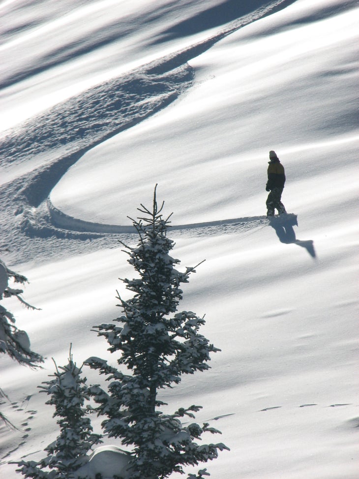 Powder Stash Powder Tips4. Give trees a wide berth. Branches often prevent falling snow from piling up around a tree’s trunk, creating a hidden hole or “tree…
