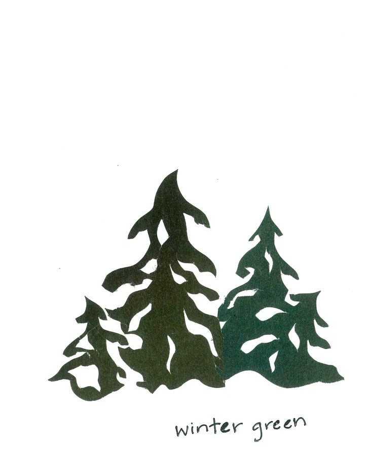 Snowfall Cards, Wintergreen None