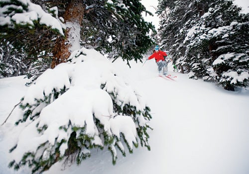 The Big Snow “Whether you’ve just purchased an SLR camera or have years of experience behind the lens, this workshop will dramatically improve your ski…