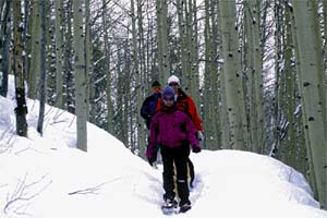 Andy in Gulmarg None