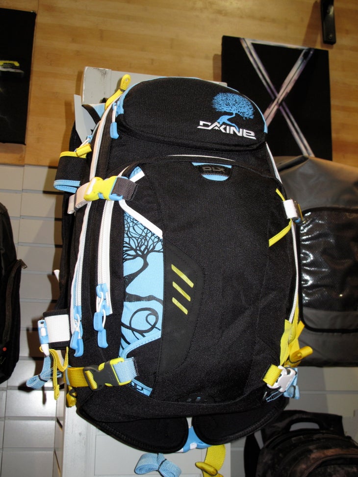 Dakine Pollard Pack Eric Pollard is both an artist and a pro skier. This newly redesigned pack is his signature model, featuring graphics created by him.