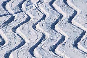 Pep in Gulmarg None