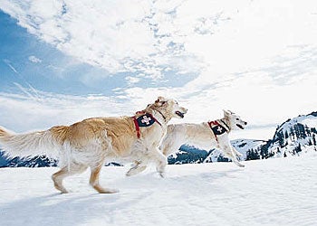 Revelstoke Comp Venue None