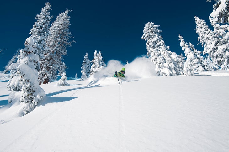 Jamie Pierre at Alta, UT None