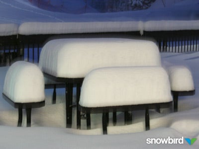 Snowbird: March 5 As for Friday morning, Utah's Snowbird Ski Resort is reporting 19 inches in the last 24 hours. Skiing Magazine is at Snowbird this week finishing up…