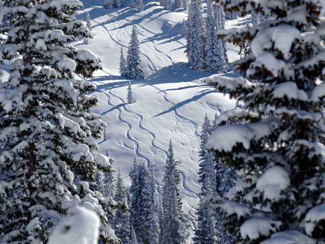 Steamboat March 6 Steamboat Ski Resort in Colorado just received four inches of new snow. Head there this weekend, or book their $99 Springalicious Four Pack (good for…
