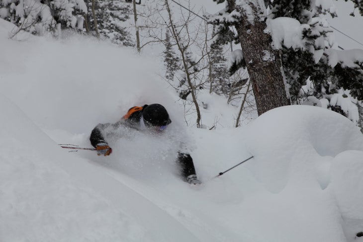 Snowbird Gets 7 Feet in 7 Days Snowbird Ski and Summer Resort received 7 feet of snow over the last week thanks to a succession of powerful storms. Snowbird’s year to date snow…
