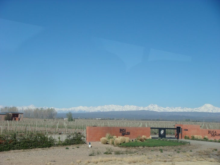 #8: Drink Wine Savor stellar, inexpensive wines. Drink carmeneres in Chile and malbecs in Argentina, but don’t mix up the grapes and the countries…you will receive…
