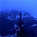 Squaw Valley PowPow None