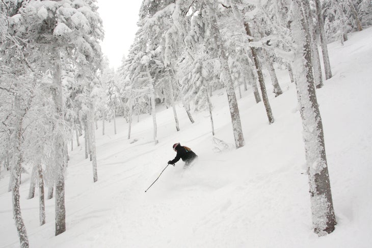 Brackett Basin is the first of a three-phase terrain expansion onto neighboring Burnt Mountain None