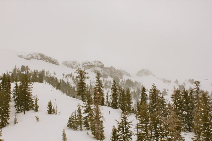 159-inch storm These chutes are generally a lot more bony. A storm total of 159 inches tends to fill things in nicely.