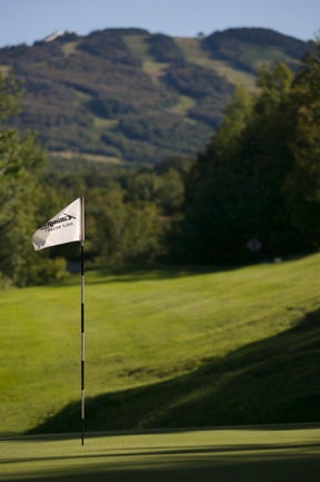 1178816223Summero7-Golf3_l.jpg None