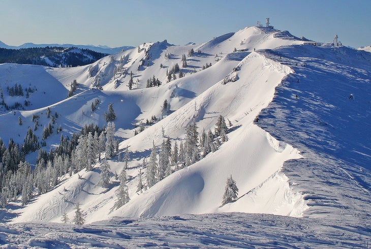 Alpine Meadows None
