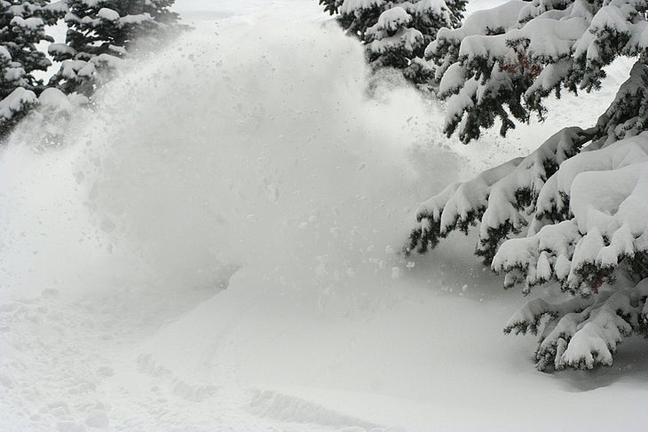Park City None