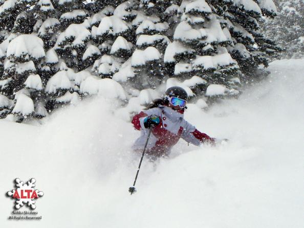 Alta, Utah: 724 inches None