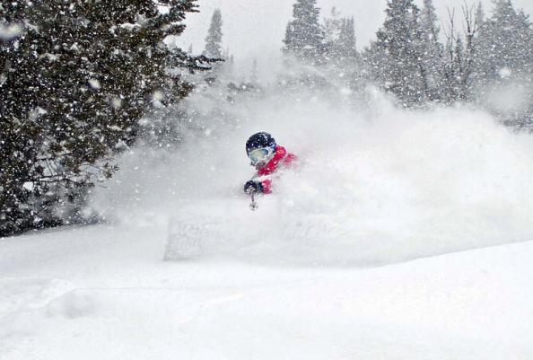 Jackson Hole, Wyoming: 557 None