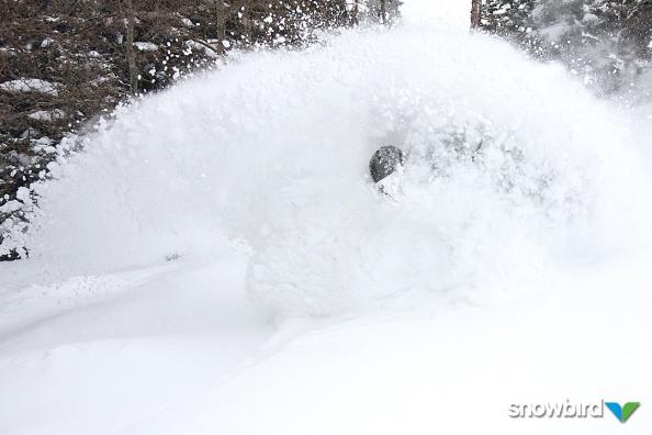 Snowbird, Utah: 690 inches None