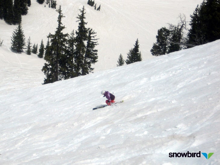 Snowbird Will be Open Until July 4th None