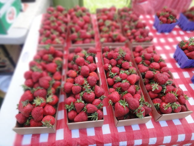 Farmer’s Market An hour from Government Camp is the town of Estacada, Oregon—the summer’s weekend farmer’s market stop. Open on Saturdays, goat’s milk, honey, and…