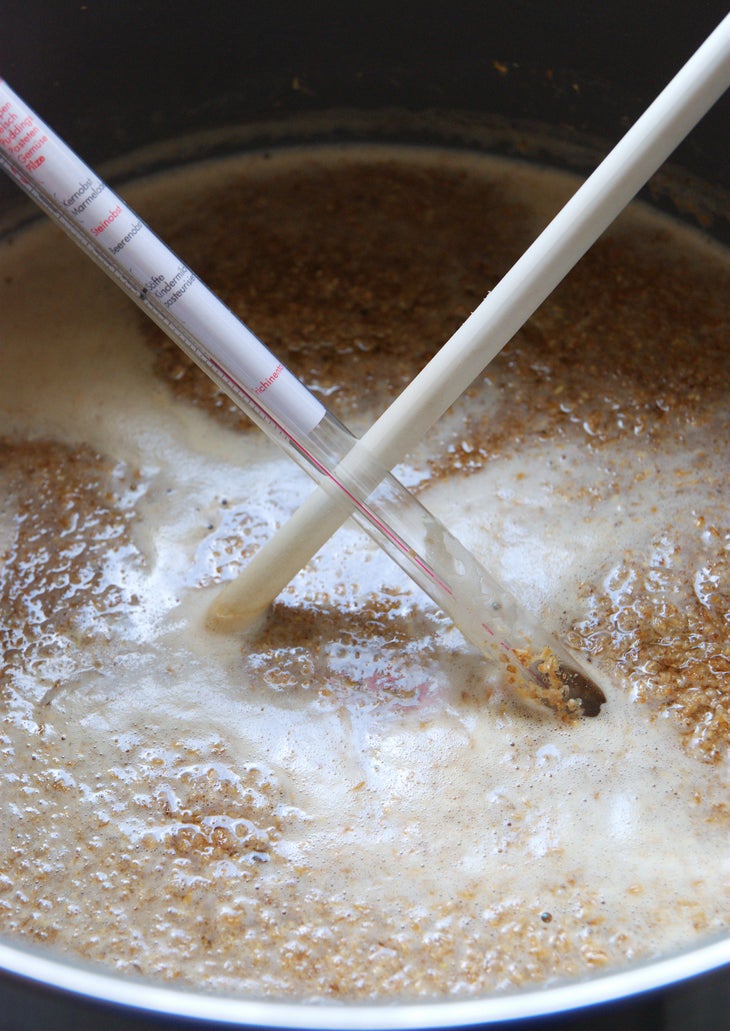 The Mash If you’re new to this you may want to start brewing with malt extracts, which are condensed sugars, pre-extracted from grains for your brewing…