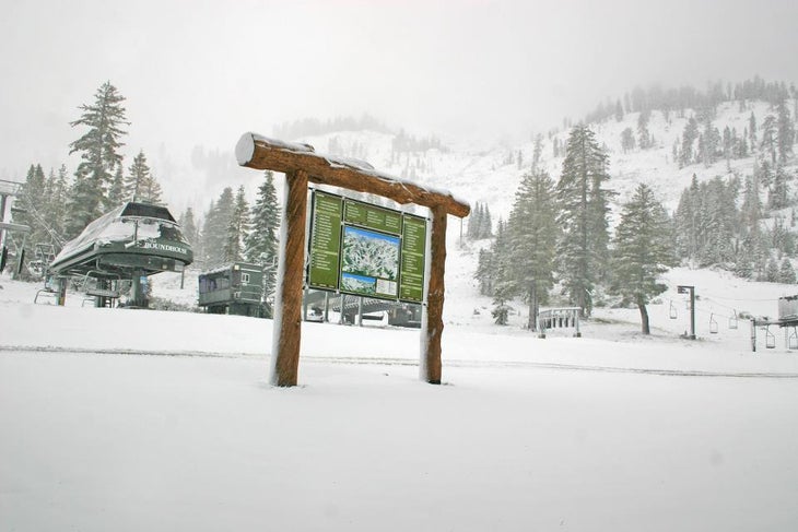 Alpine Meadows None