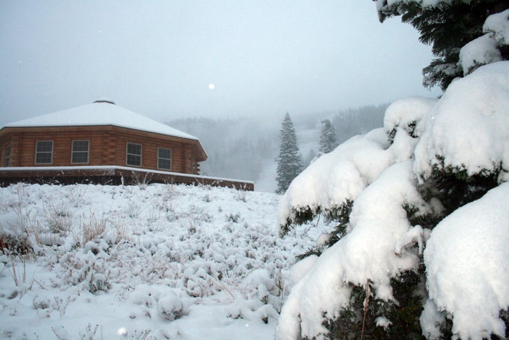 Brundage got four inches None