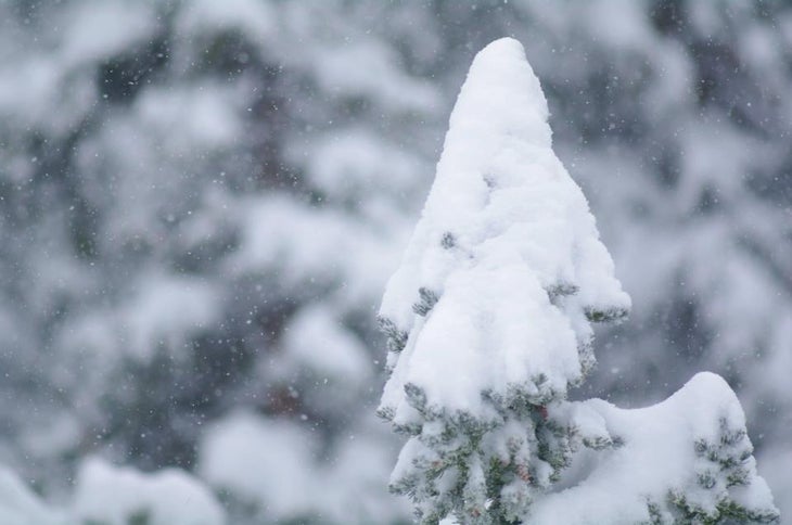 Snow piling up None