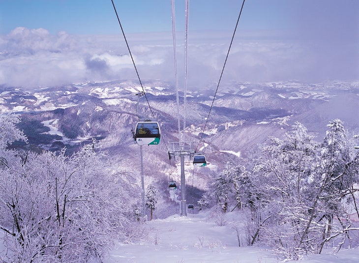 South Korea Skiiing When we heard the 2018 Olympics were going to be held in PyeongChang, South Korea, we were, curious about what the skiing venues were going to be…