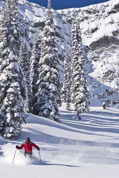 Fernie is a Dream Town When I decided shortly after college to quit my new job in New York City, it was for just one more full season of skiing. Ingrained in my head was a…