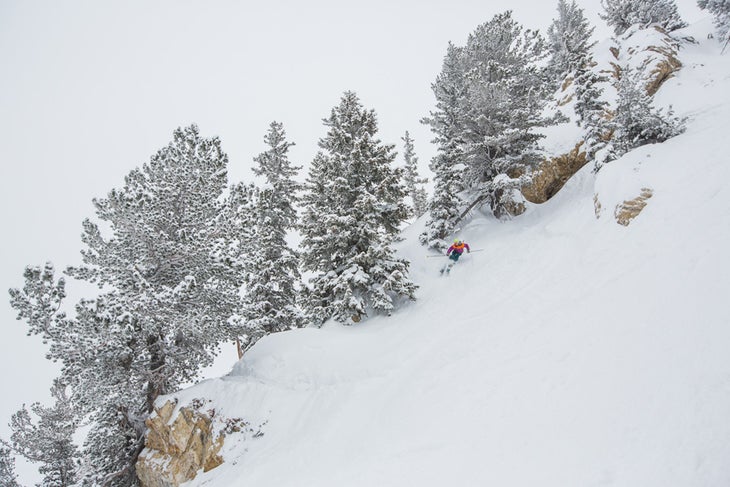Sierra Shreds Chutes Sierra Quitiquit finding time amidst a busy schedule to freeski in the Spiney Chutes Area off of Alta’s Supreme chairlift. (Photo: Jim Harris)