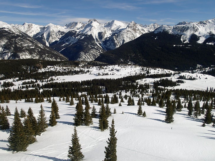 Great Glades Well-spaced trees made for some great glade skiing.