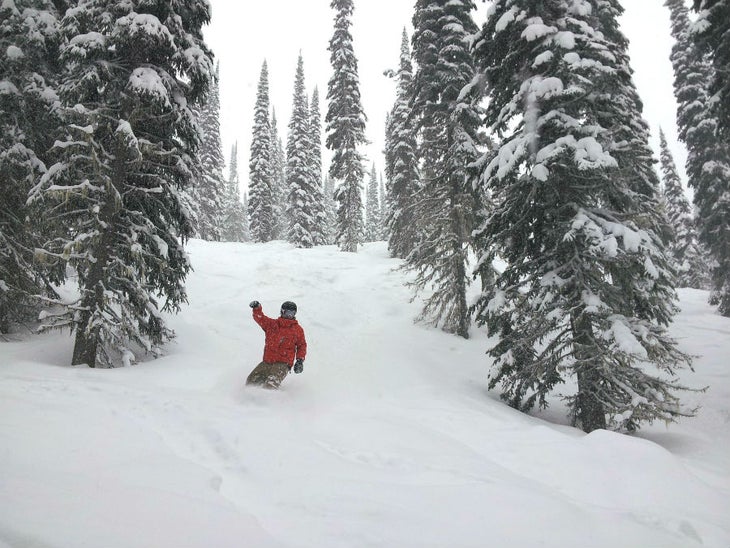 Revelstoke Mountain Resort Nearly 14 inches (35cm) fell with this recent storm, so Revelstoke should be skiing (and riding) pretty well.