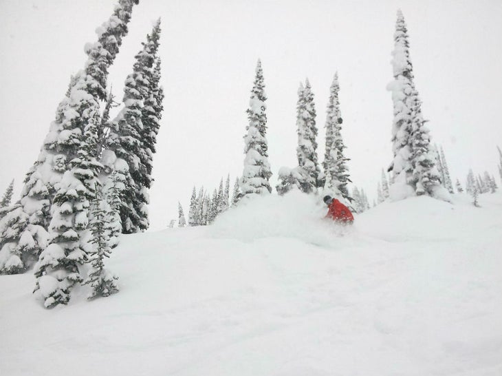 Revelstoke Mountain Resort Nearly 14 inches (35cm) fell with this recent storm, so Revelstoke should be skiing (and riding) pretty well.