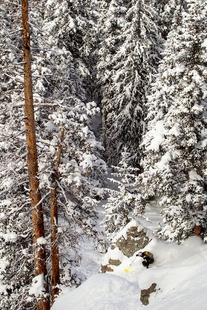 Searching for Gnomes Herb Manning investigates a recent infestation of forest dwellers in Telluride’s Electra glades.